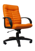ORION MINI PL